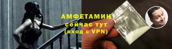 индика Осинники