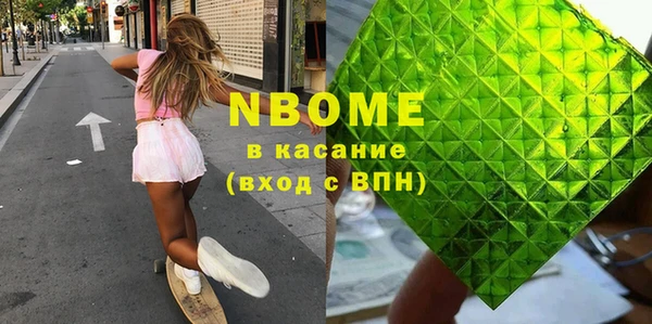 индика Осинники