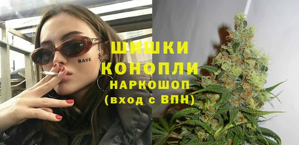 шишки Алексеевка