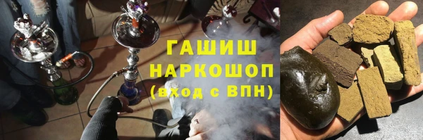 индика Осинники