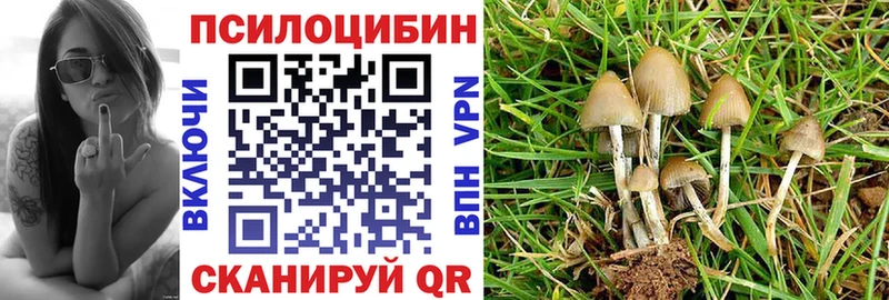 Псилоцибиновые грибы MAGIC MUSHROOMS  купить наркотик  mega онион  Тейково 